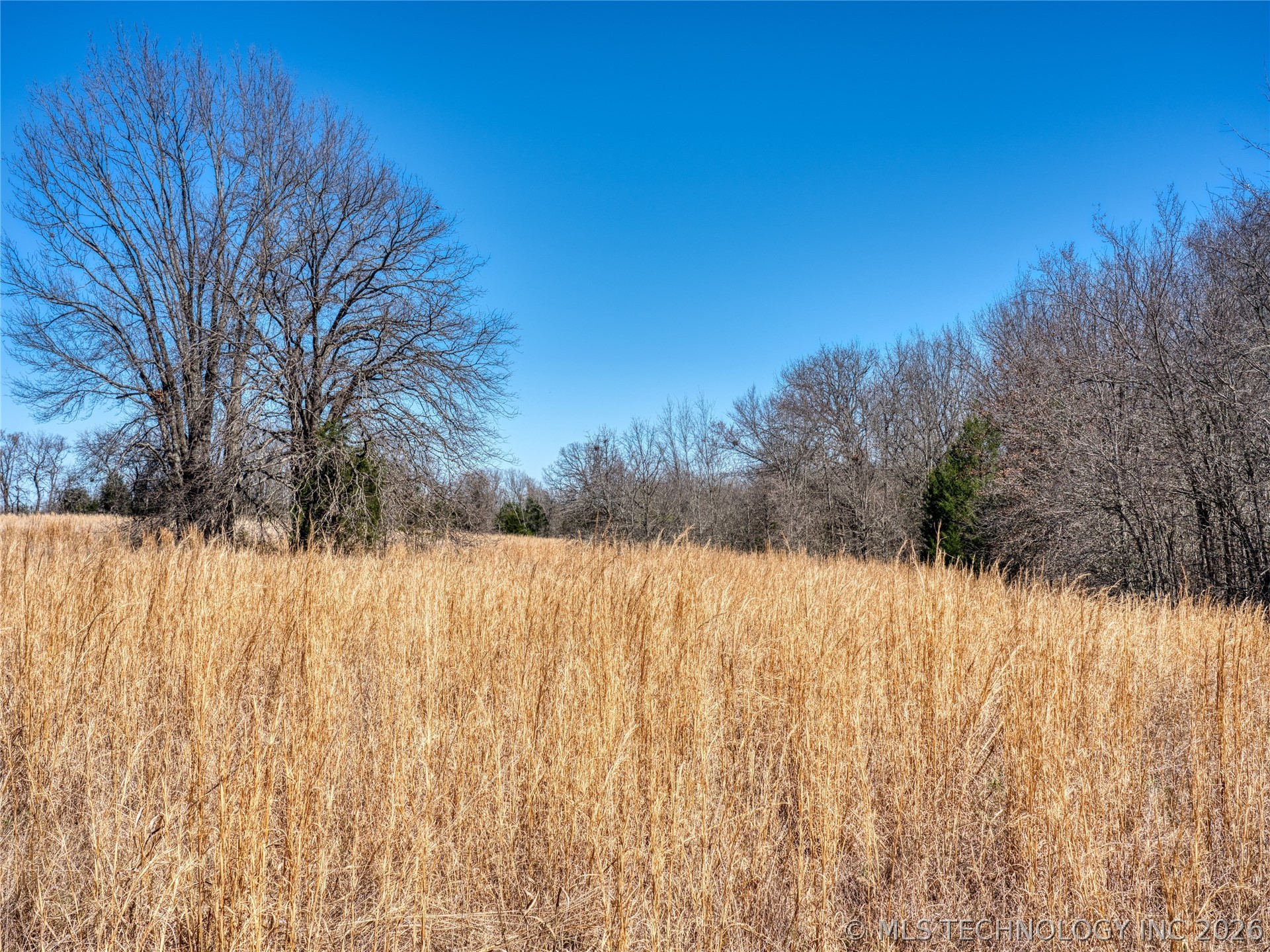 Voca Road Property Photo 16