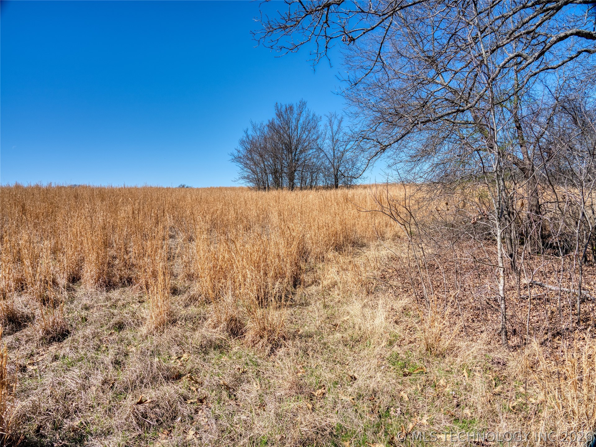 Voca Road Property Photo 18