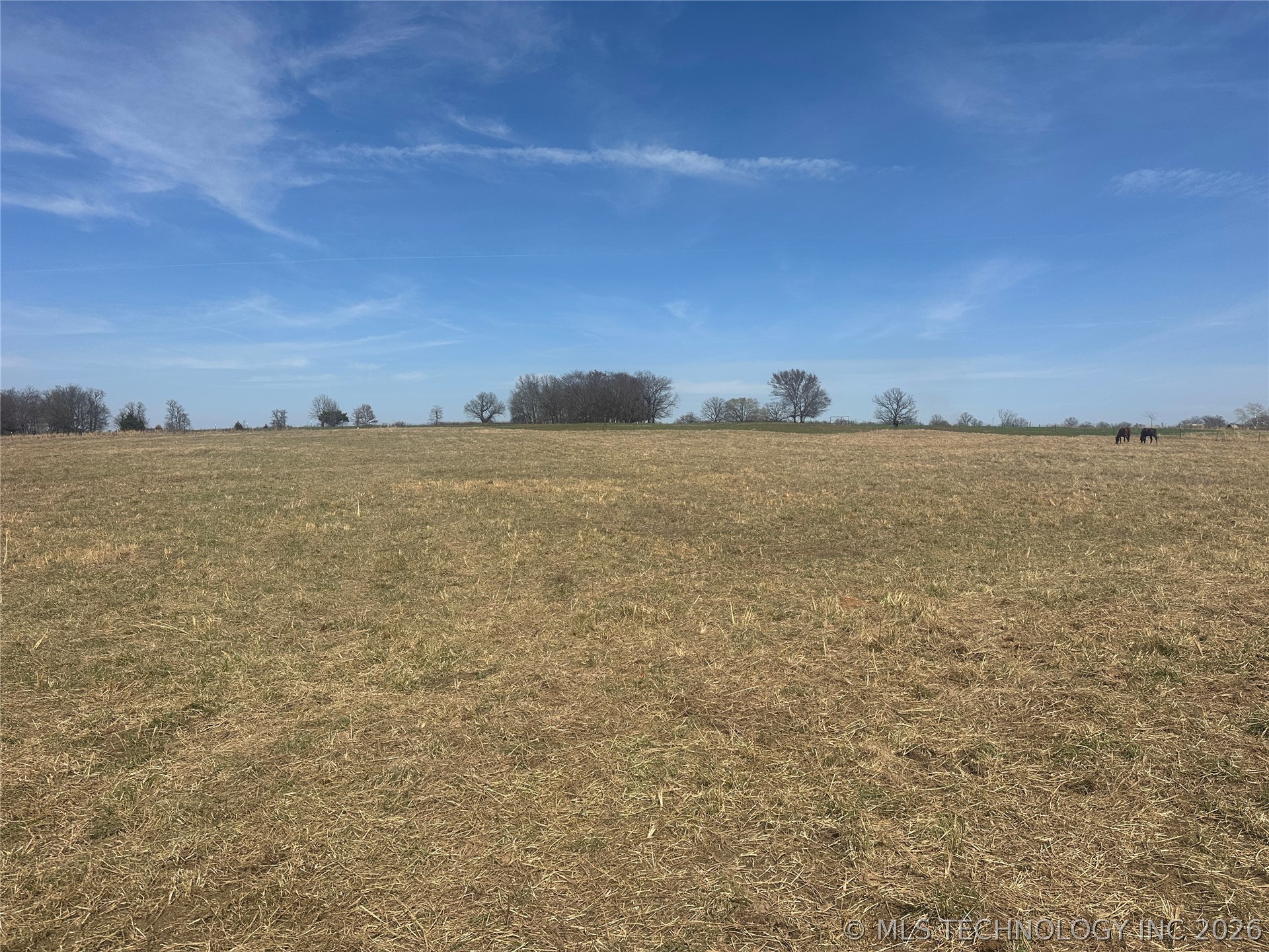 15466 W Jones Road Property Photo 4