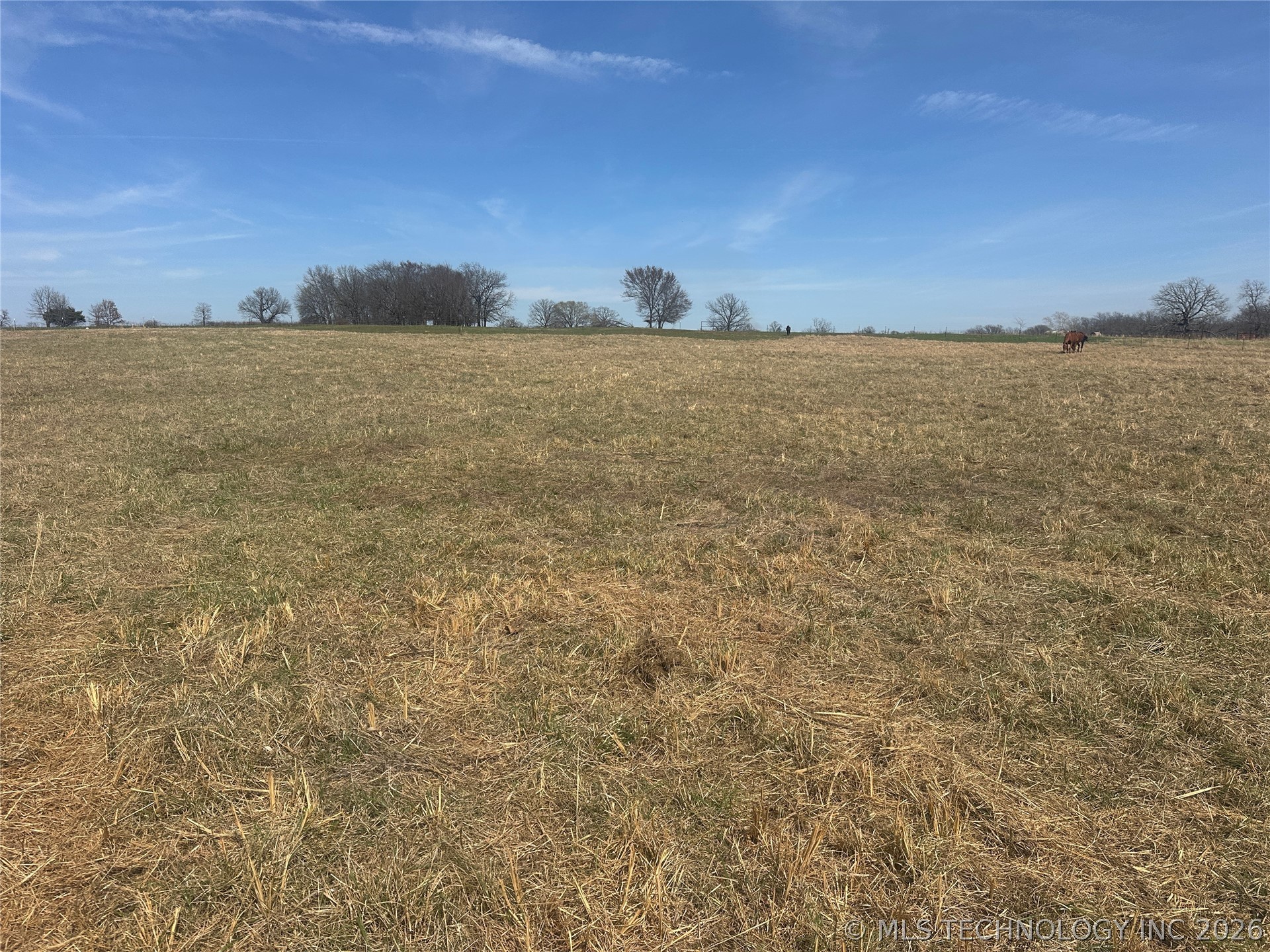 15466 W Jones Road Property Photo 12
