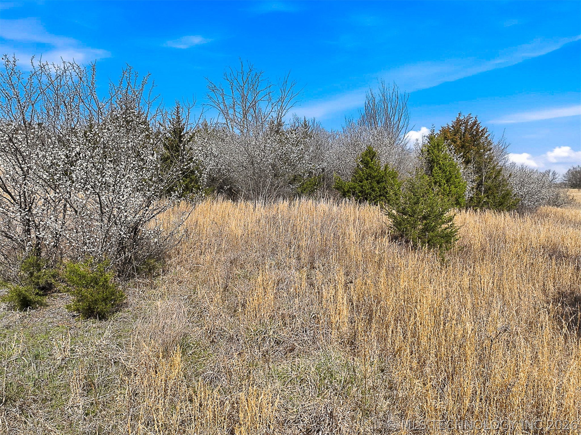 000 Hannah Gwin Drive Property Photo 18