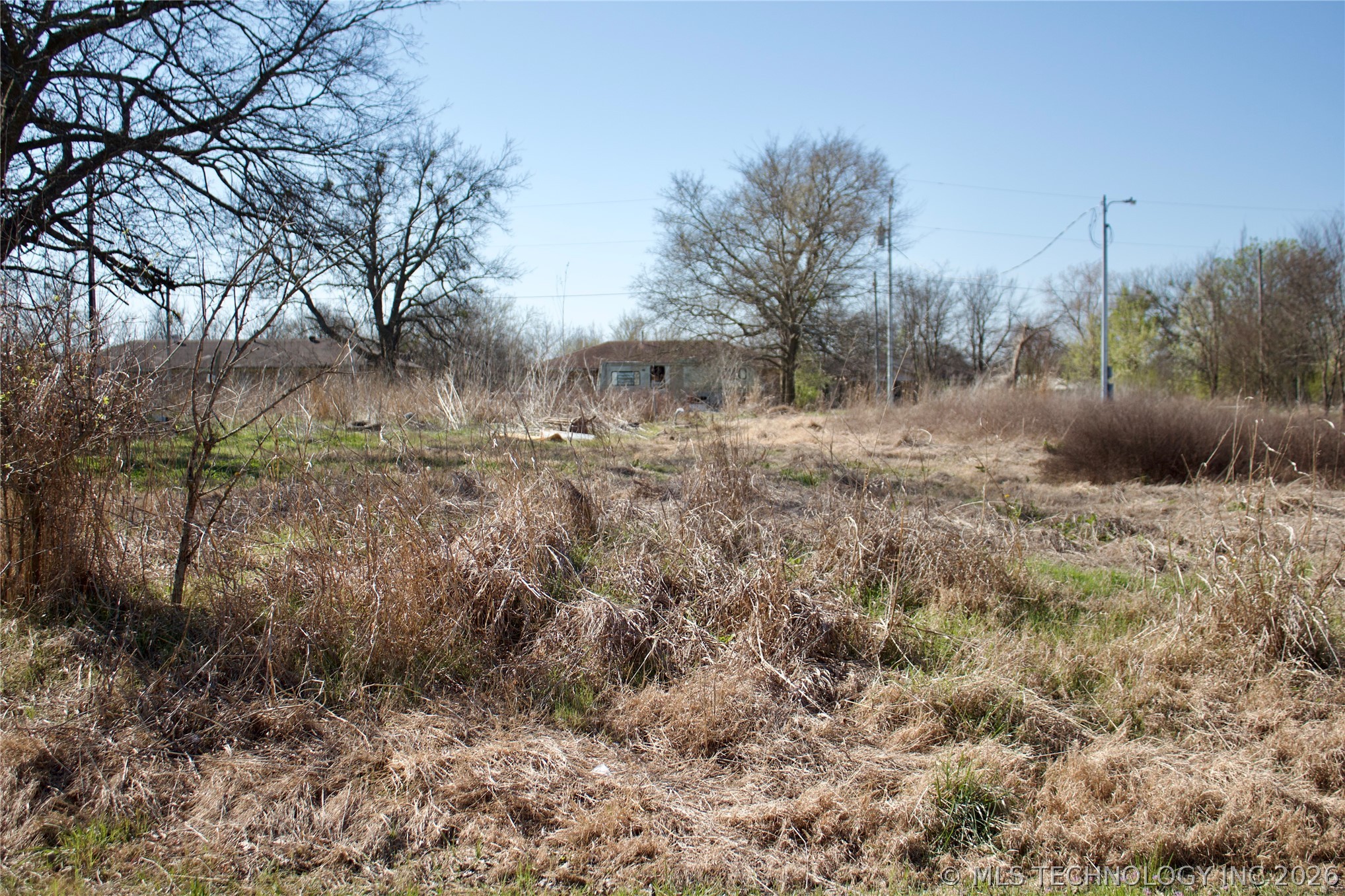 Pine Street Property Photo 3