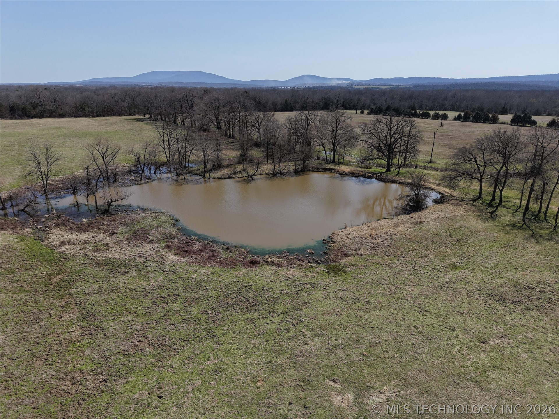 Fox Hill Property Photo 4