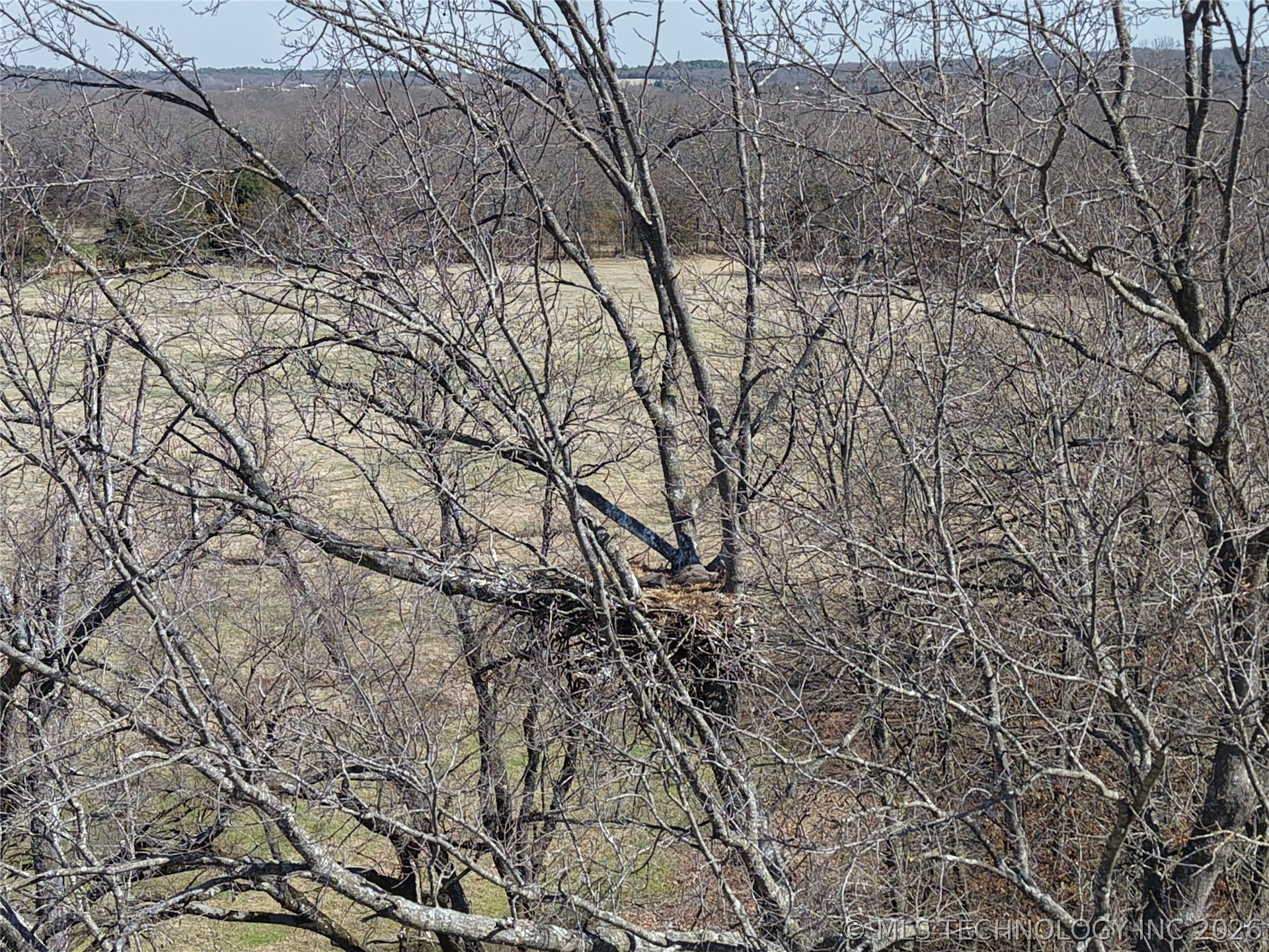 Four Corners Road Property Photo 8