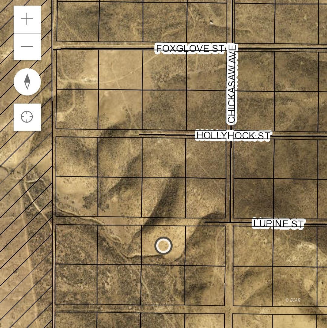 Lupine Street Property Photo 1