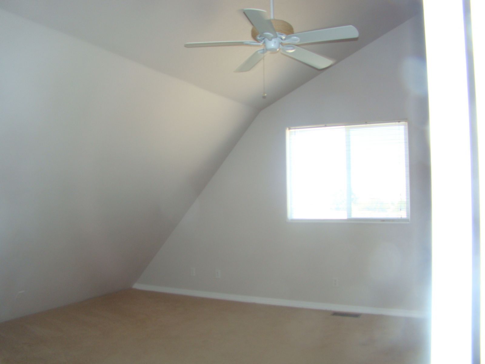 4793 Hog Tommy Road Property Photo 15