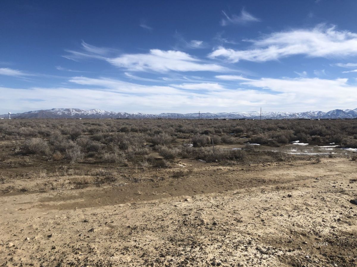 645 Painted Sage Drive Property Photo 2