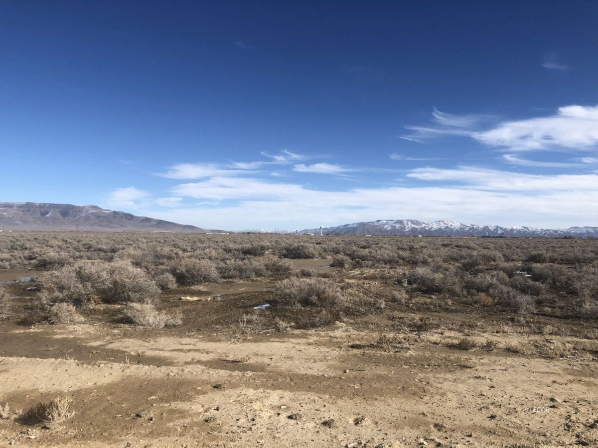 645 Painted Sage Drive Property Photo 3