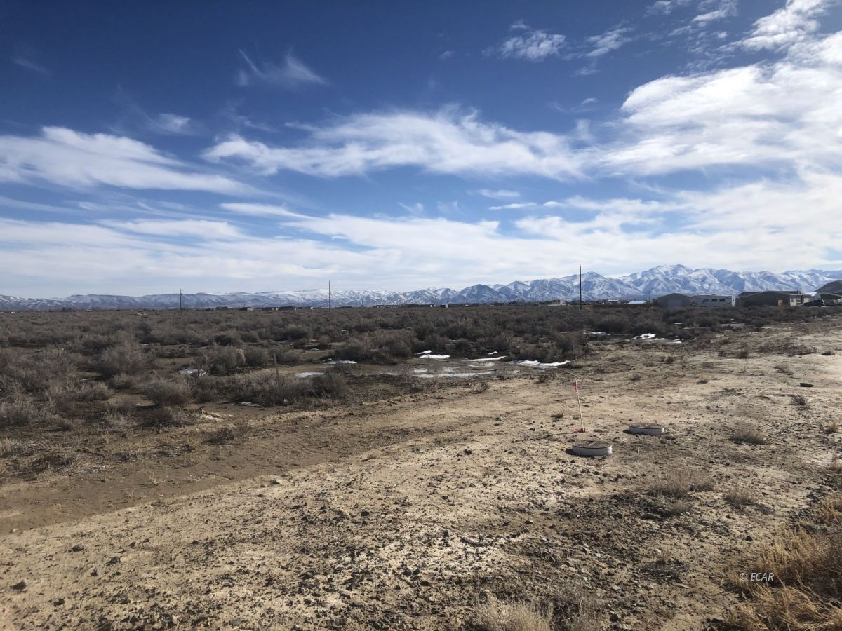 645 Painted Sage Drive Property Photo 4