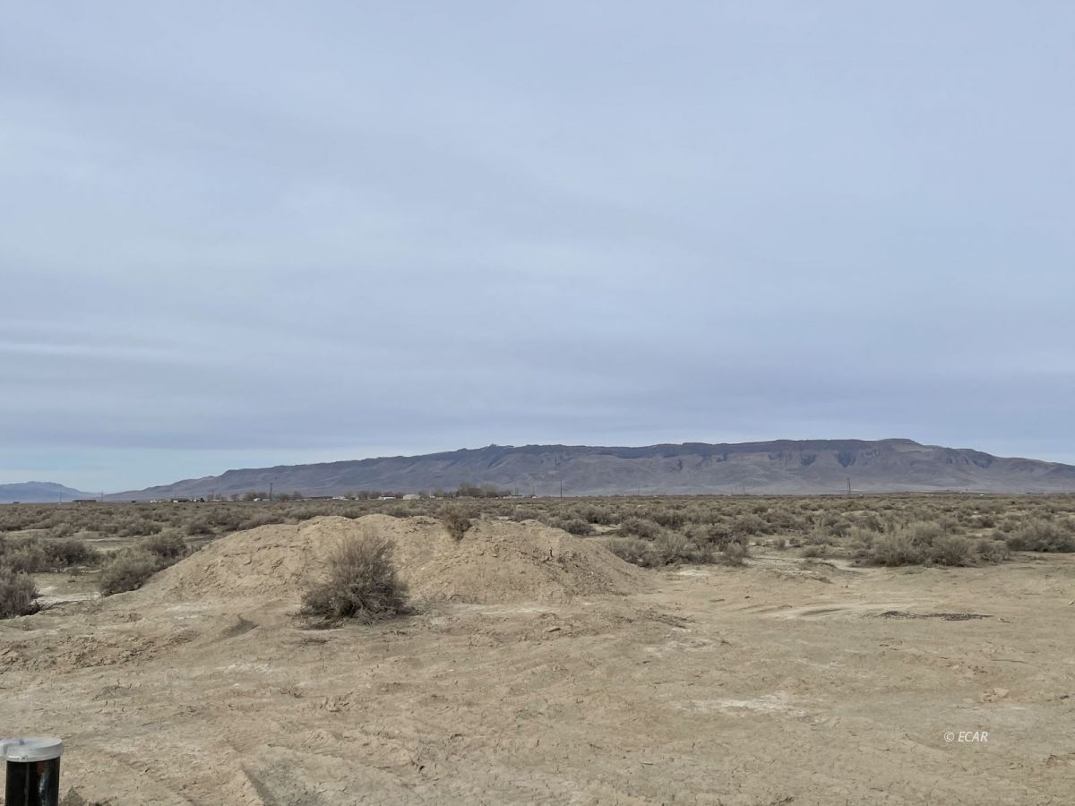 625 Painted Sage Drive Property Photo 10