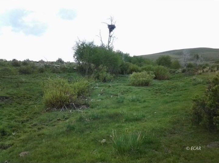 Twp 40n Rge Mdb&m Parcel Property Photo 8