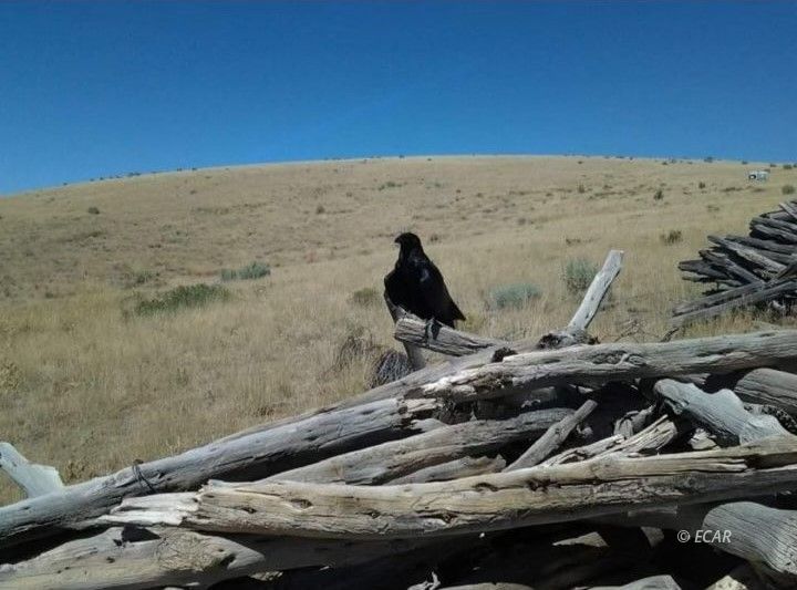 Twp 40n Rge Mdb&m Parcel Property Photo 10