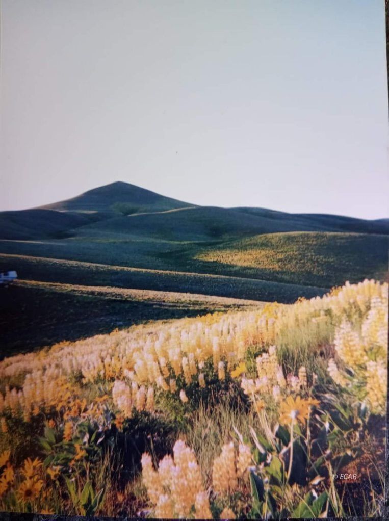 Twp 40n Rge Mdb&m Parcel Property Photo 13