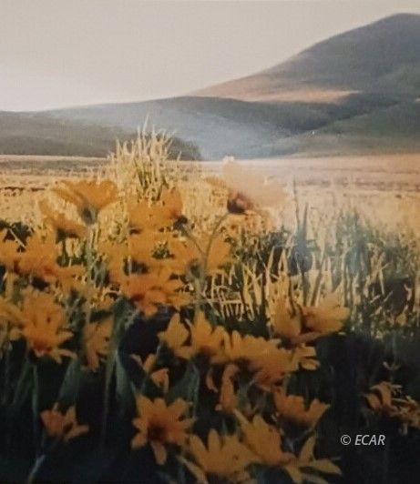 Twp 40n Rge Mdb&m Parcel Property Photo 15