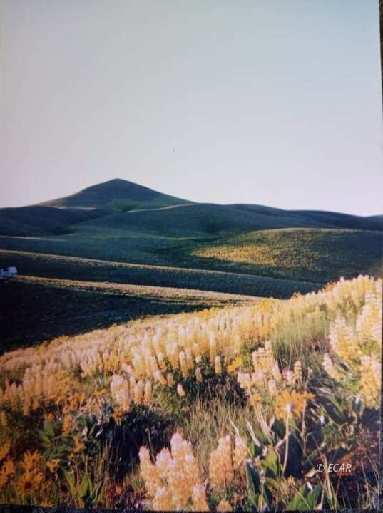 Twp 40n Rge Mdb&m Parcel Property Photo 16