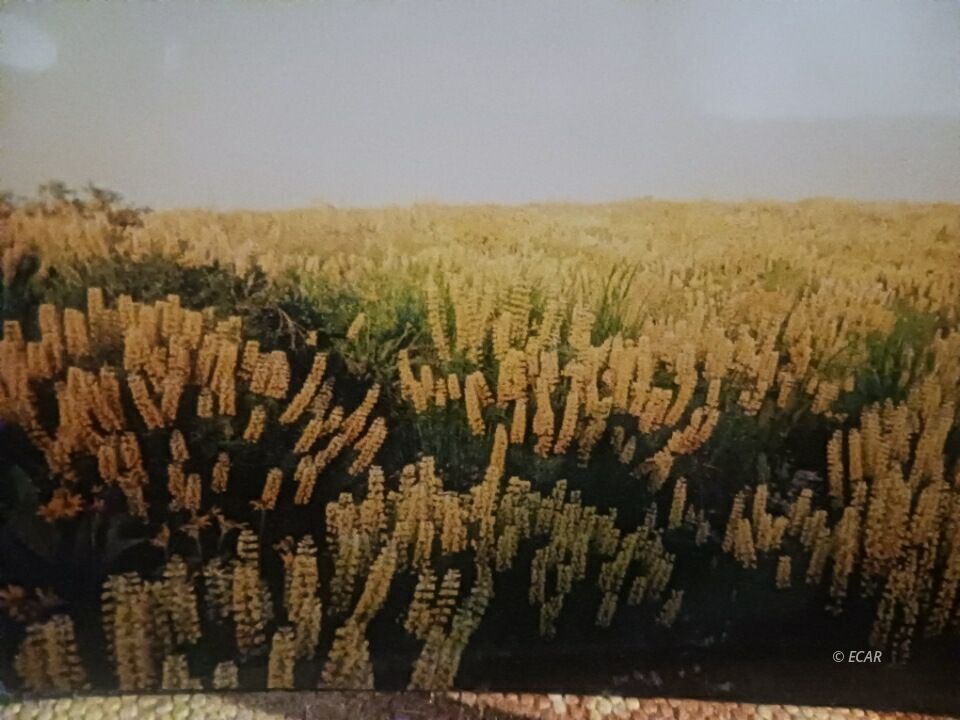 Twp 40n Rge Mdb&m Parcel Property Photo 17