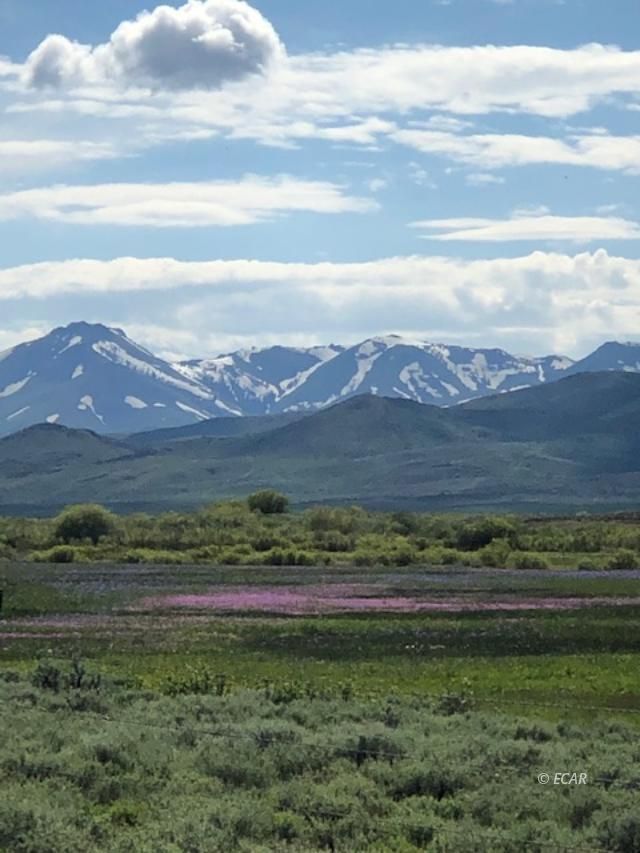 000 Jasper Avenue Property Photo 4