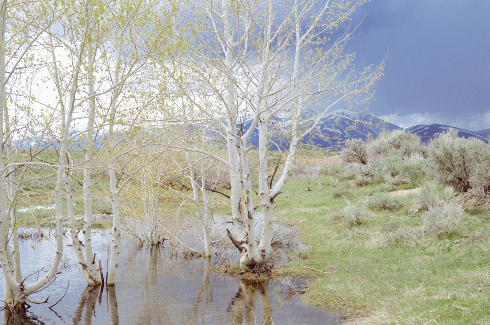 14032 Mountain City Highway Property Photo 21