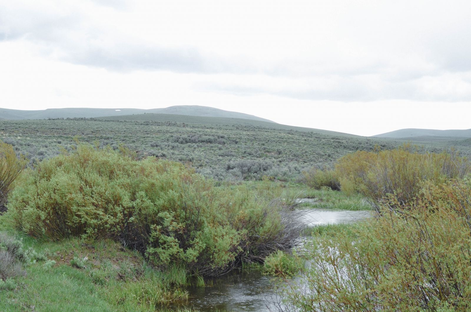 14032 Mountain City Highway Property Photo 24