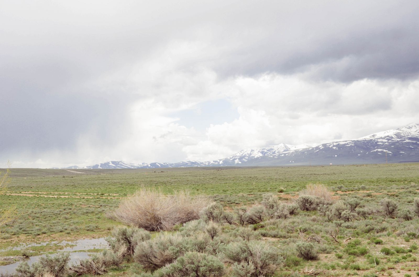 14032 Mountain City Highway Property Photo 25