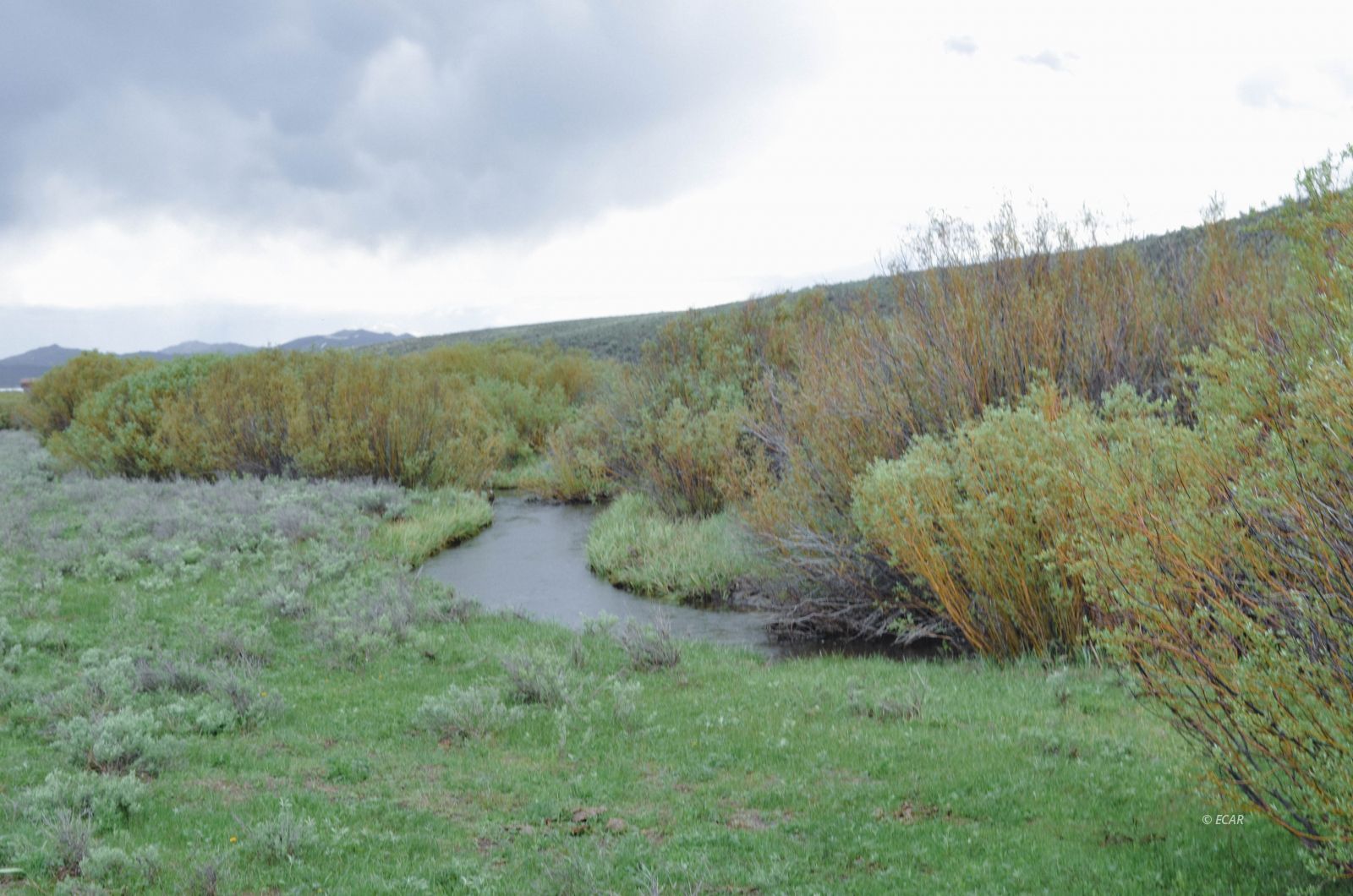 14032 Mountain City Highway Property Photo 29