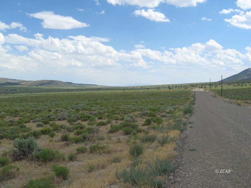 Tbd Angel Lake Road Property Photo 2