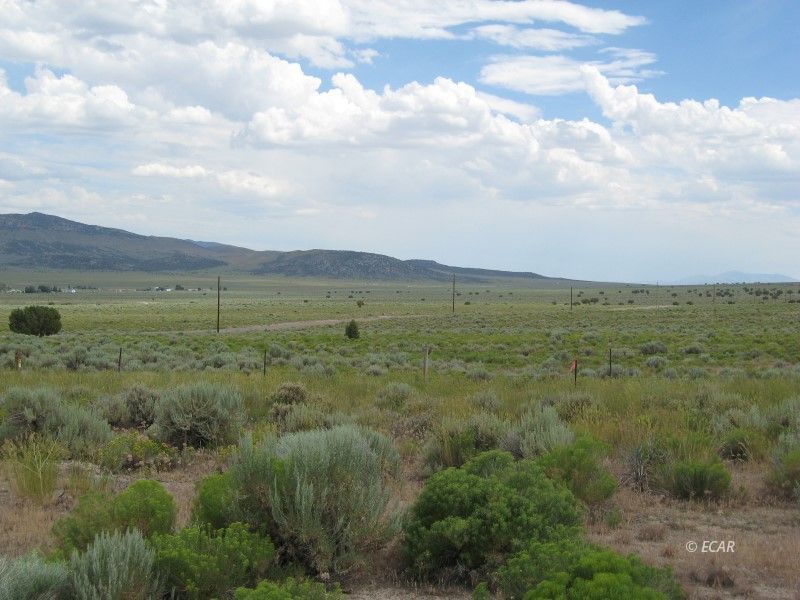 Tbd Angel Lake Road Property Photo 3