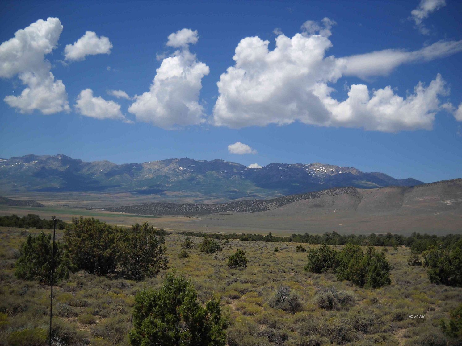 009 Rainbow Road Property Photo 4