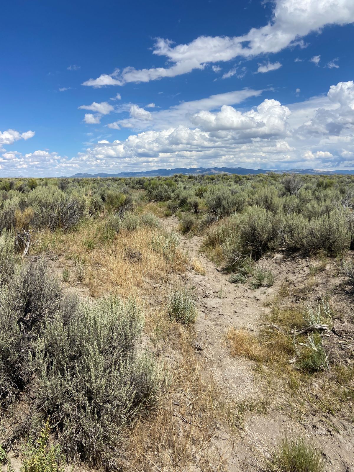 Tbd South Clover Valley Loop Parcel Property Photo 10