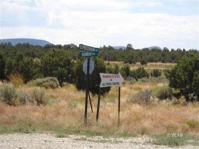 011 Rainbow Road Property Photo 3
