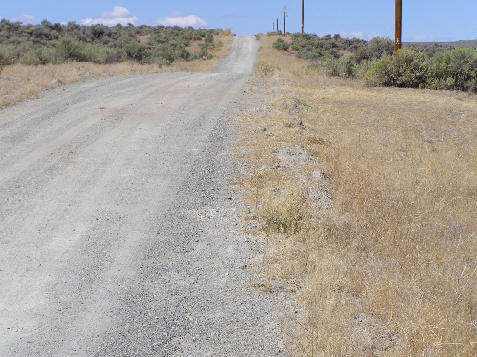 Tbd Scaup Avenue Property Photo 6