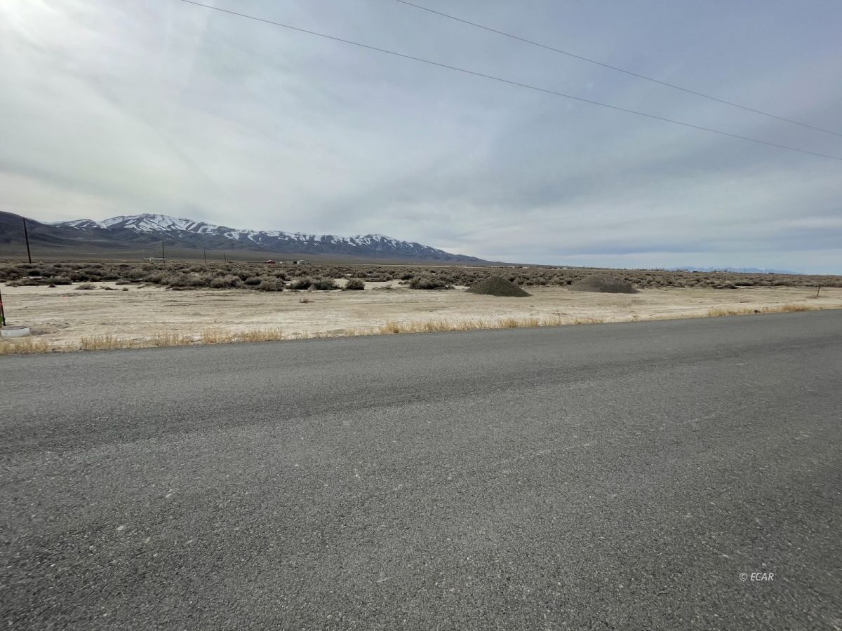 760 Faded Sage Drive Property Photo 6