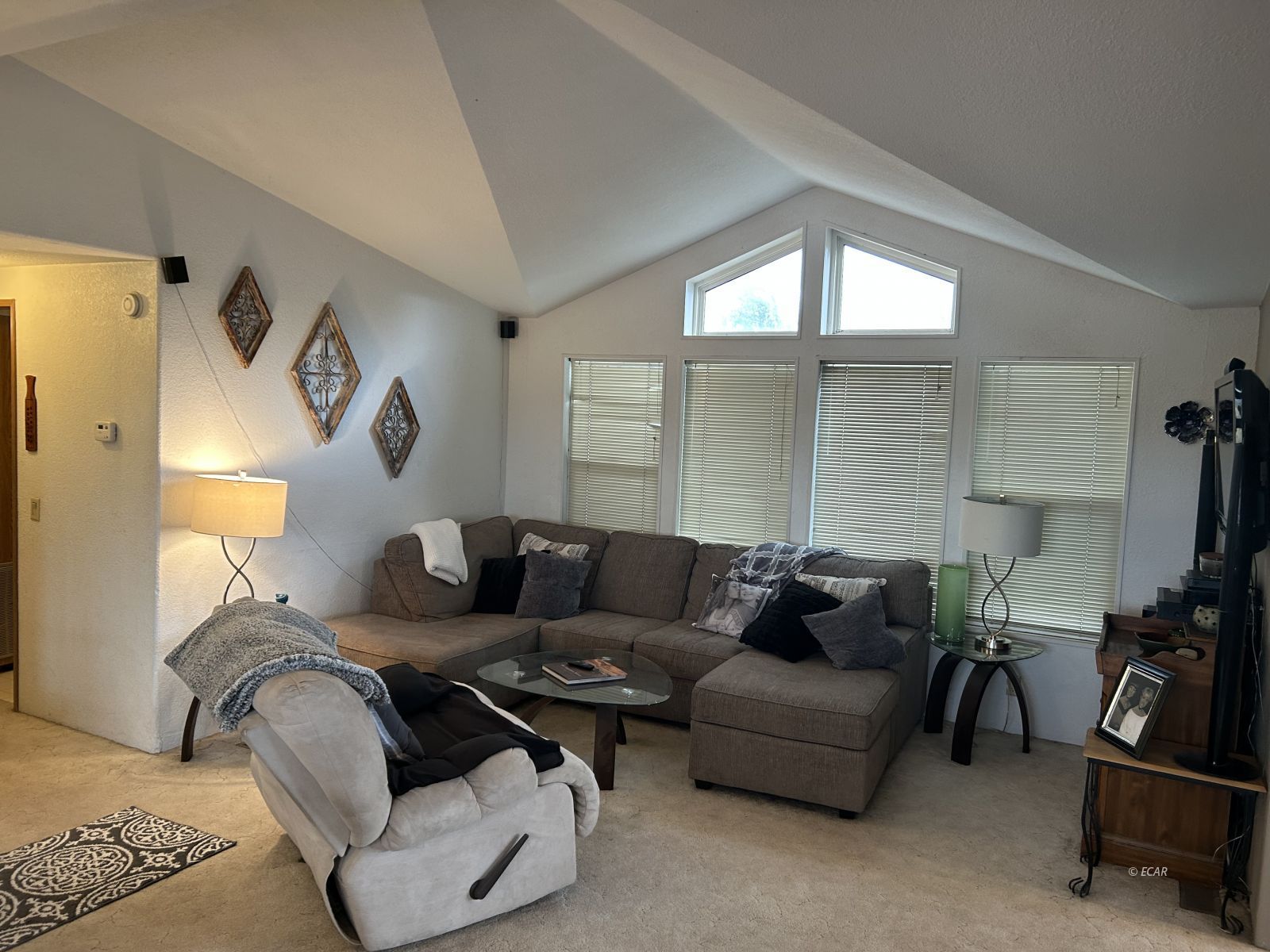 733 Alazon Lane Property Photo