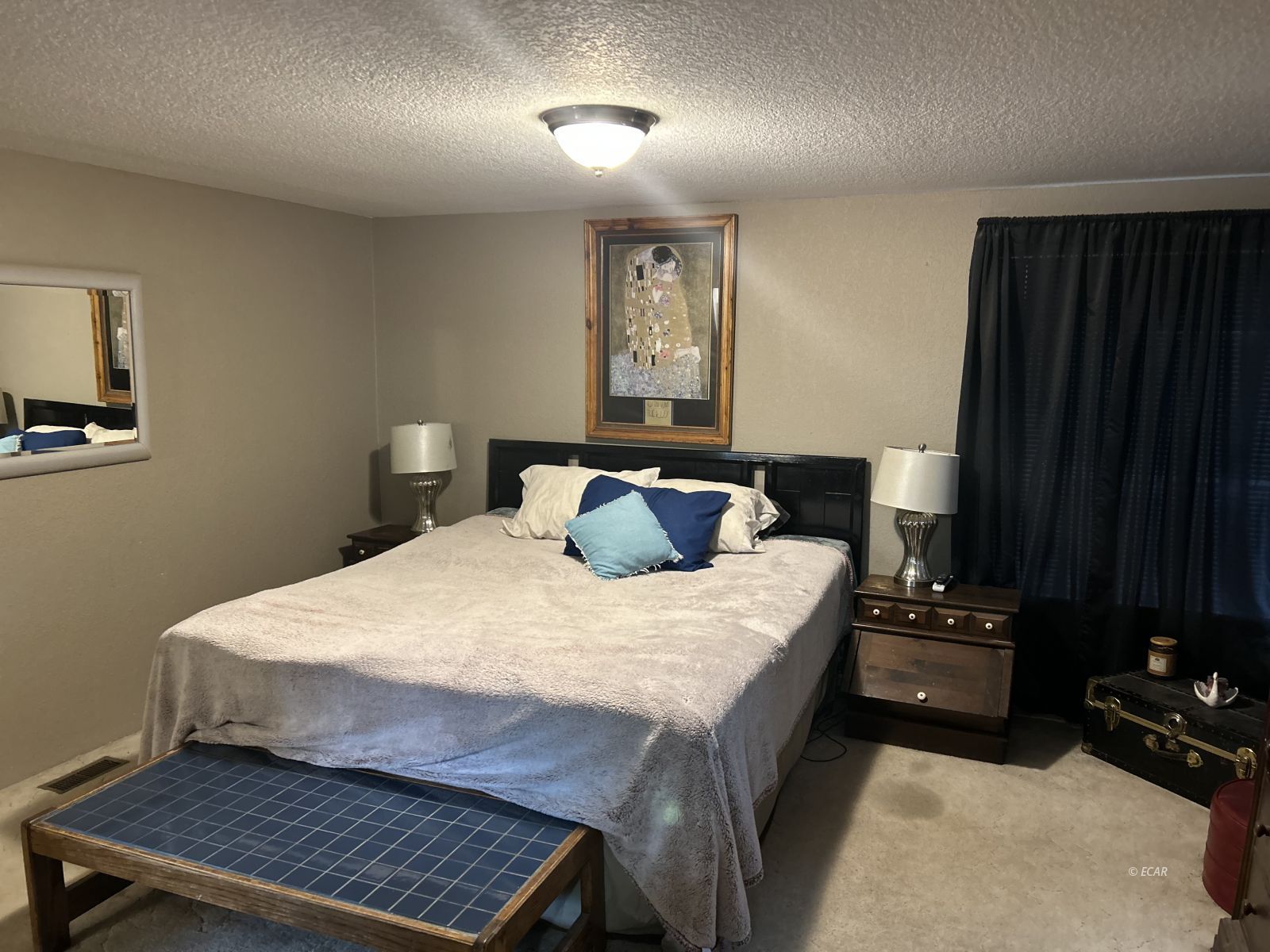 733 Alazon Lane Property Photo 4
