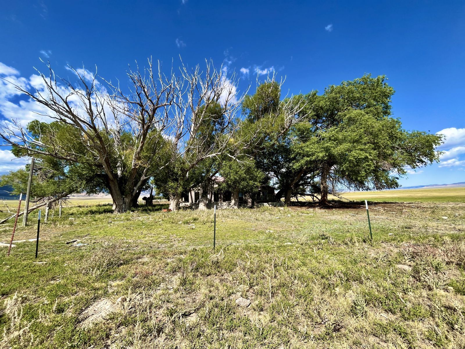 Cherry Creek Ranch Property Photo 11