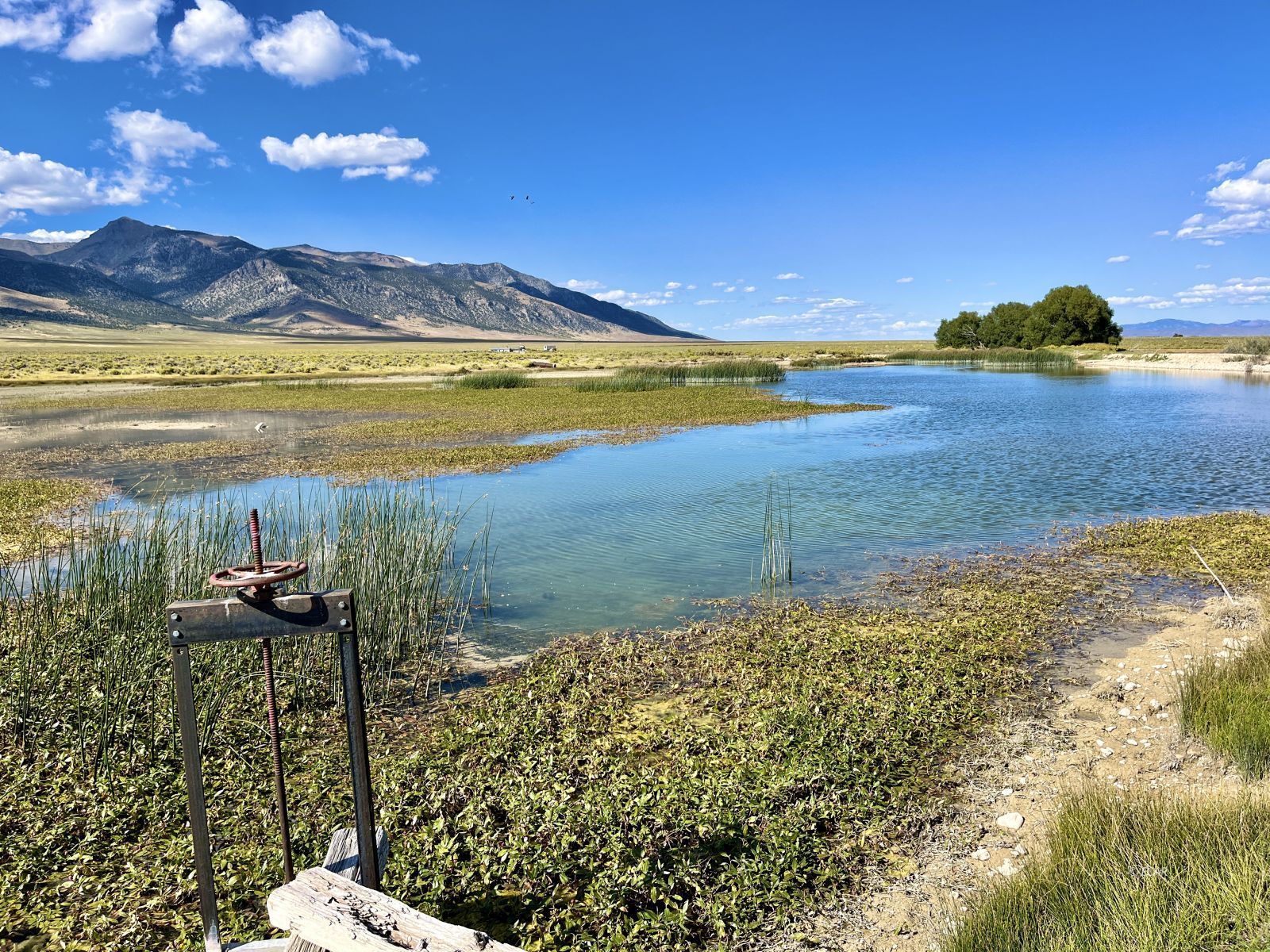 Cherry Creek Ranch Property Photo 18