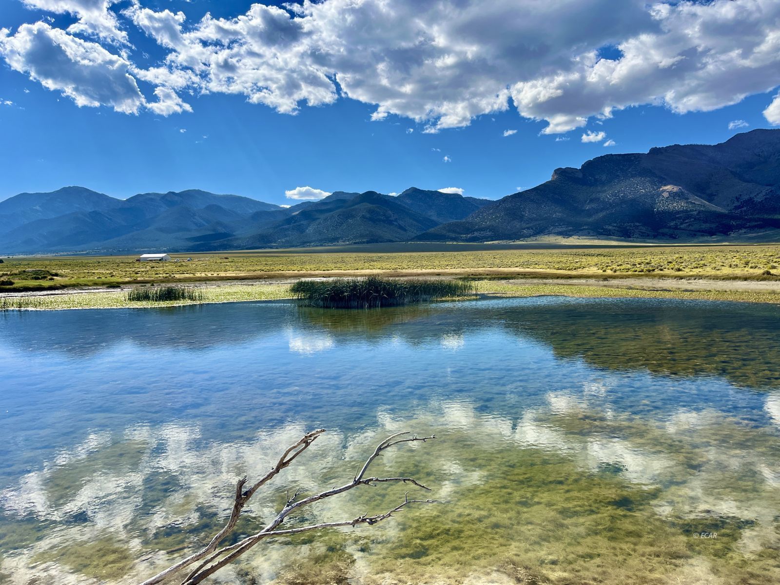 Cherry Creek Ranch Property Photo 19