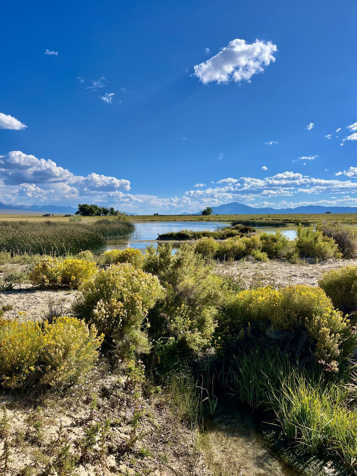 Cherry Creek Ranch Property Photo 20