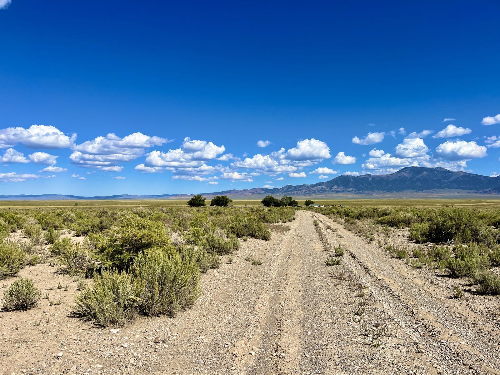 Cherry Creek Ranch Property Photo 31
