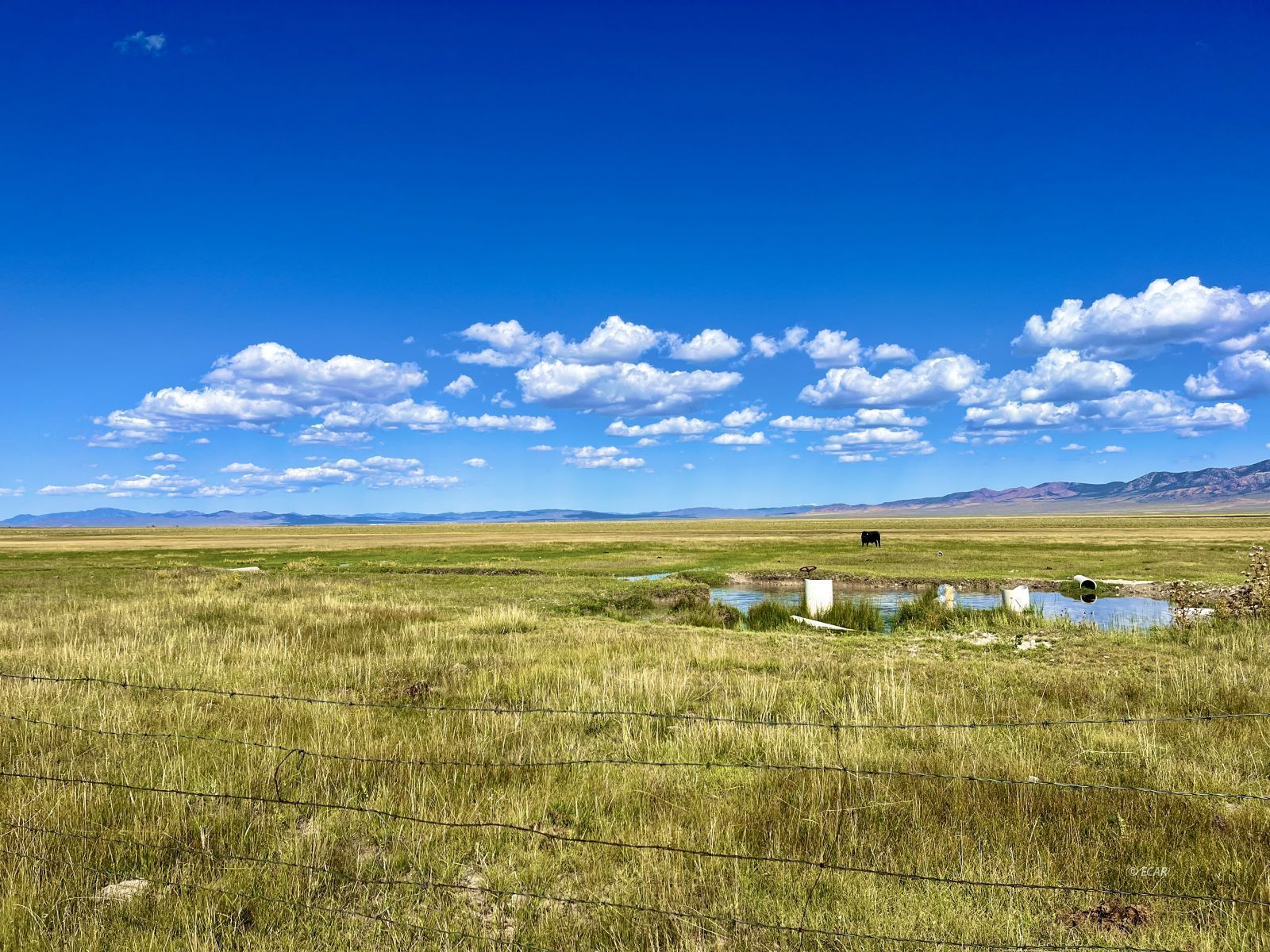 Cherry Creek Ranch Property Photo 34