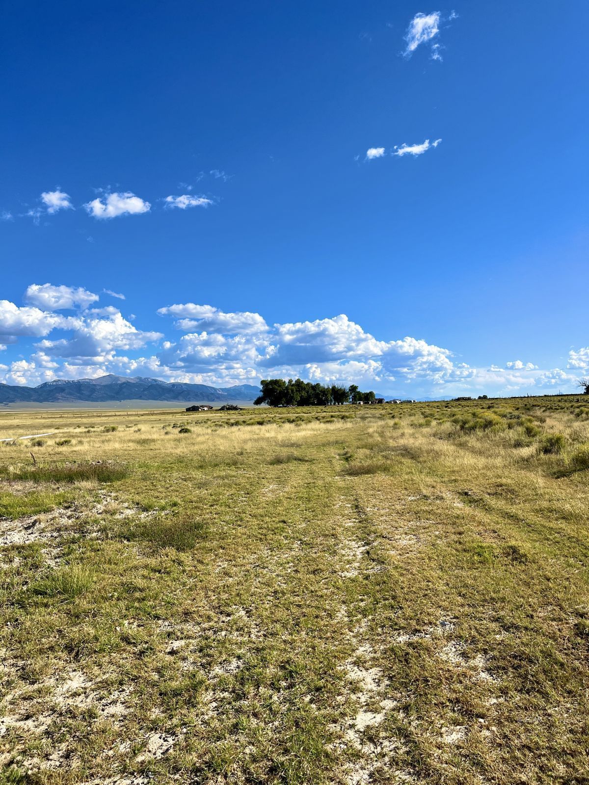 Cherry Creek Ranch Property Photo 37