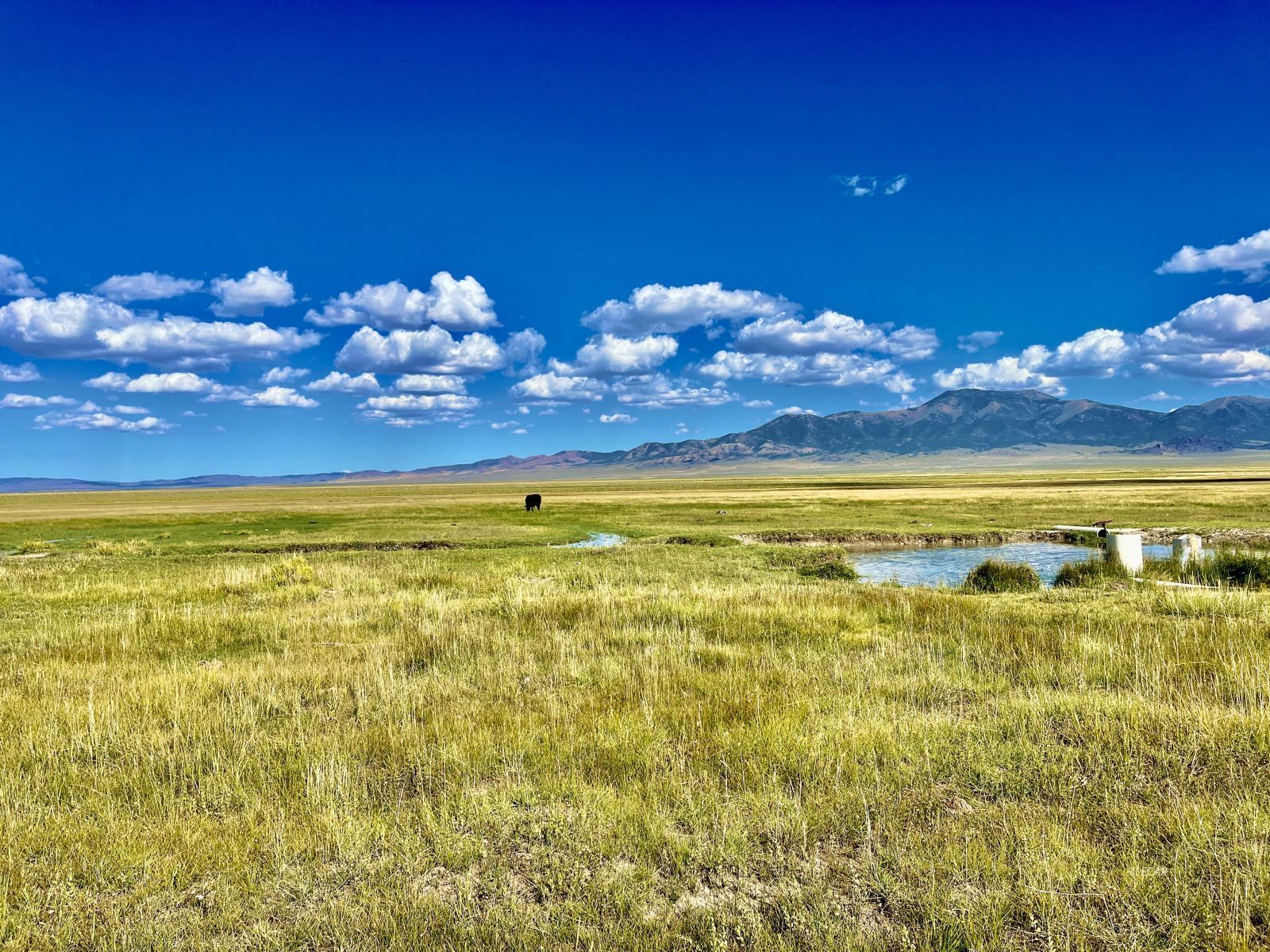 Cherry Creek Ranch Property Photo 39