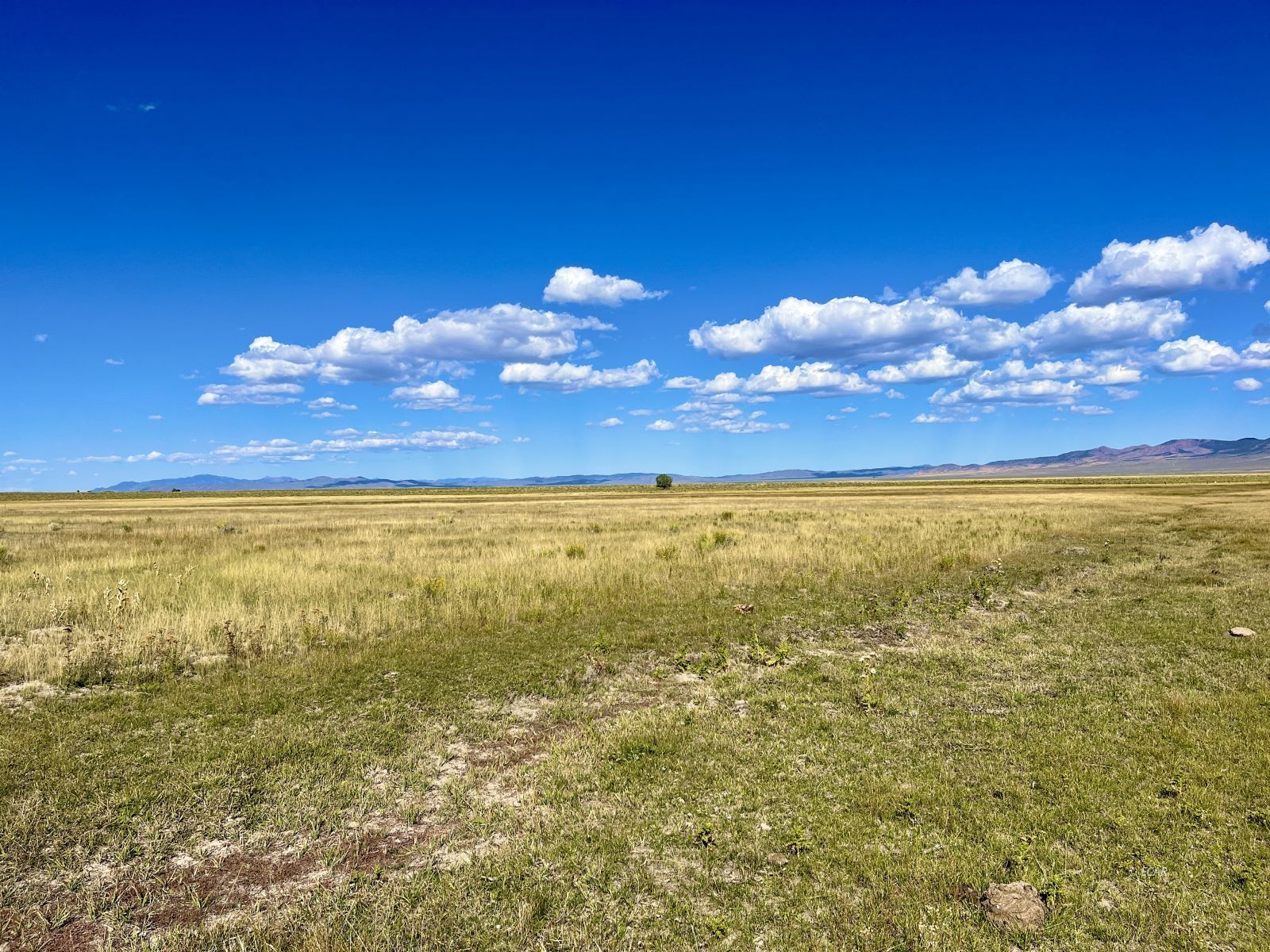 Cherry Creek Ranch Property Photo 41