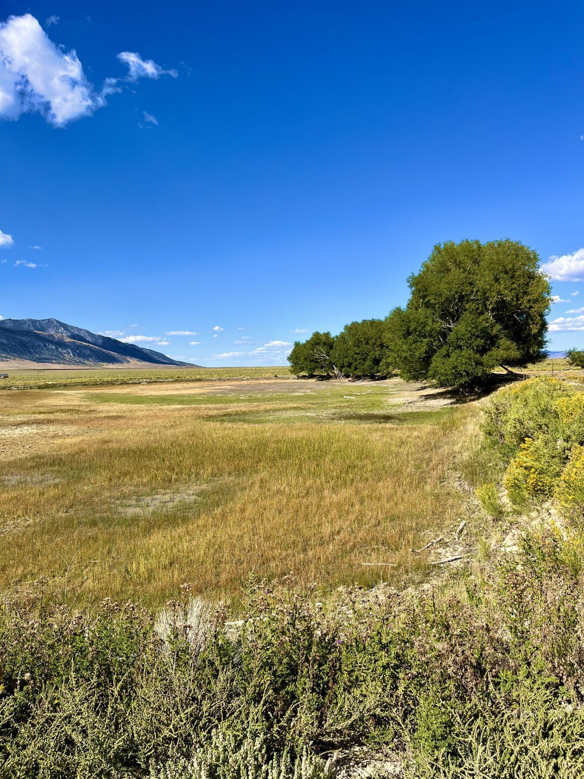 Cherry Creek Ranch Property Photo 44