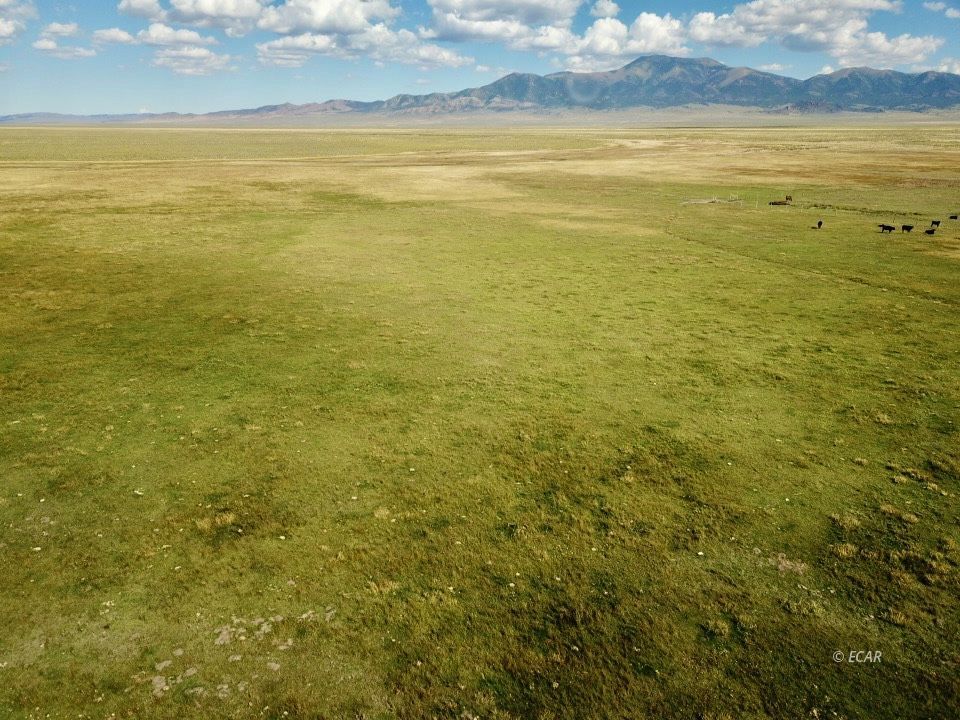 Cherry Creek Ranch Property Photo 46