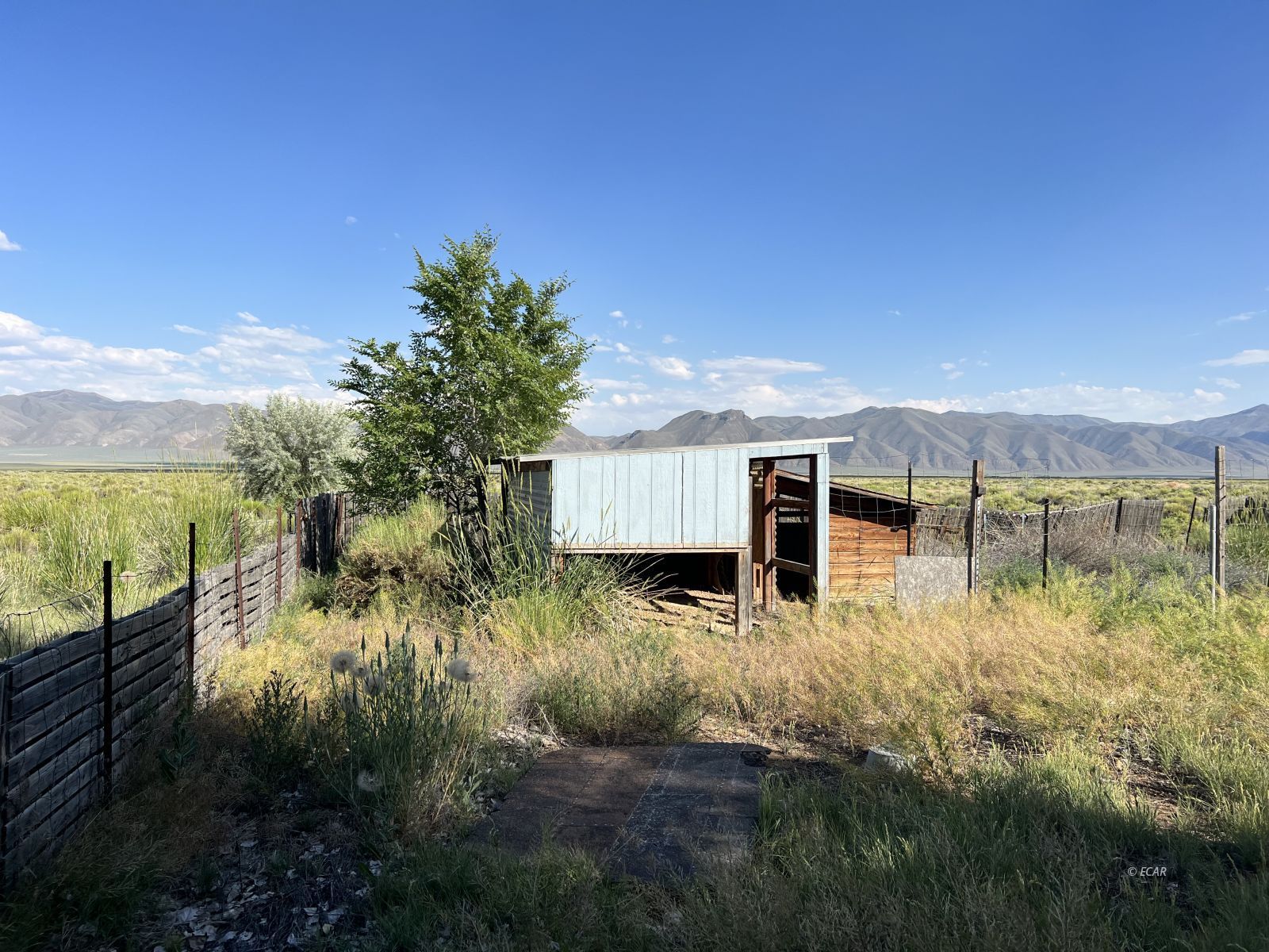 Skeeters Way Property Photo 4