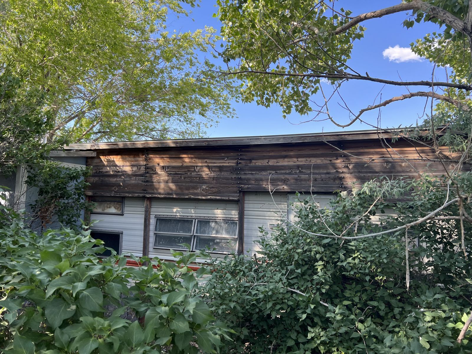 Skeeters Way Property Photo 6