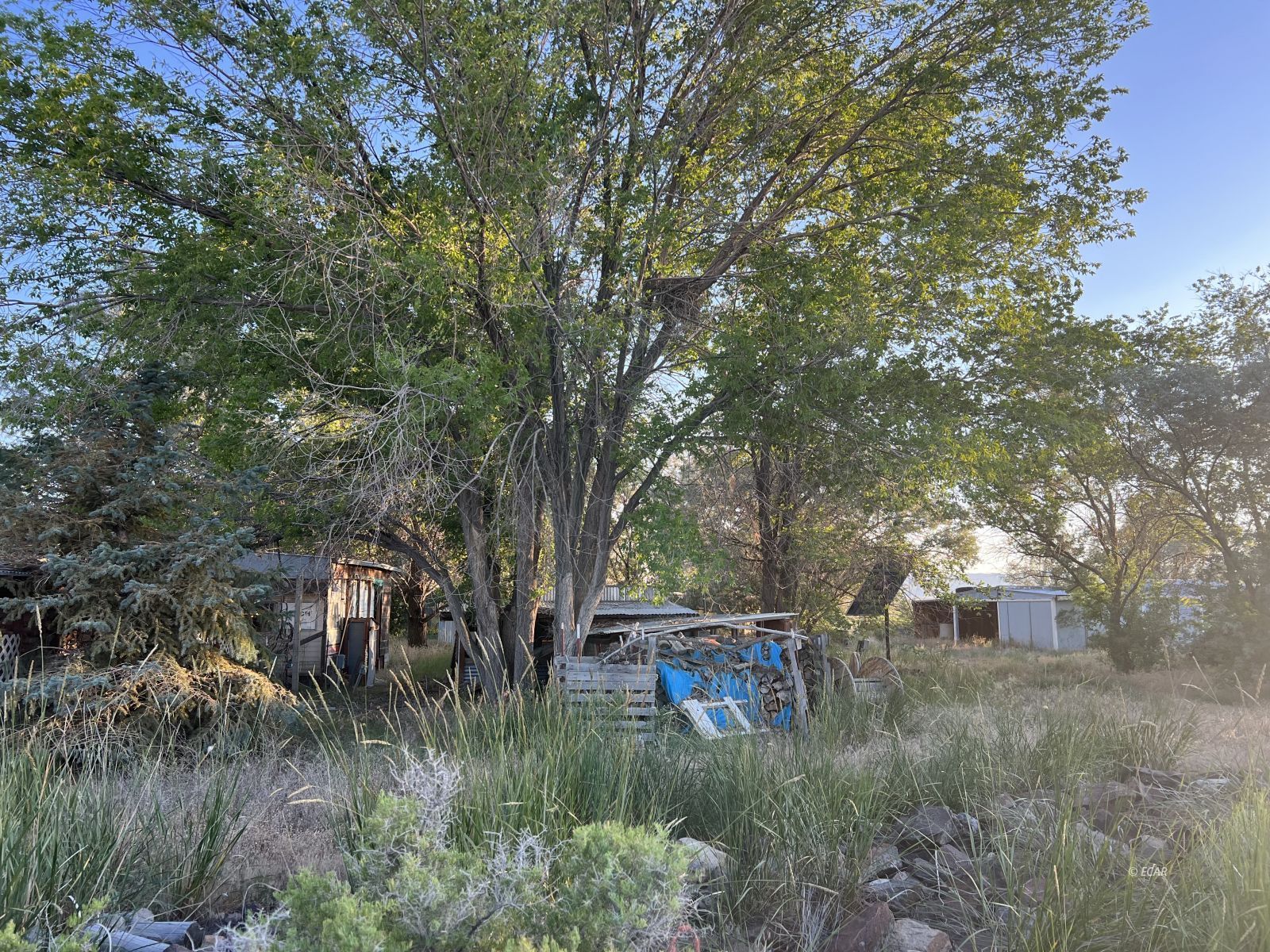 Skeeters Way Property Photo 12