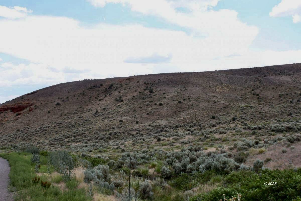 5th Street Property Photo 3