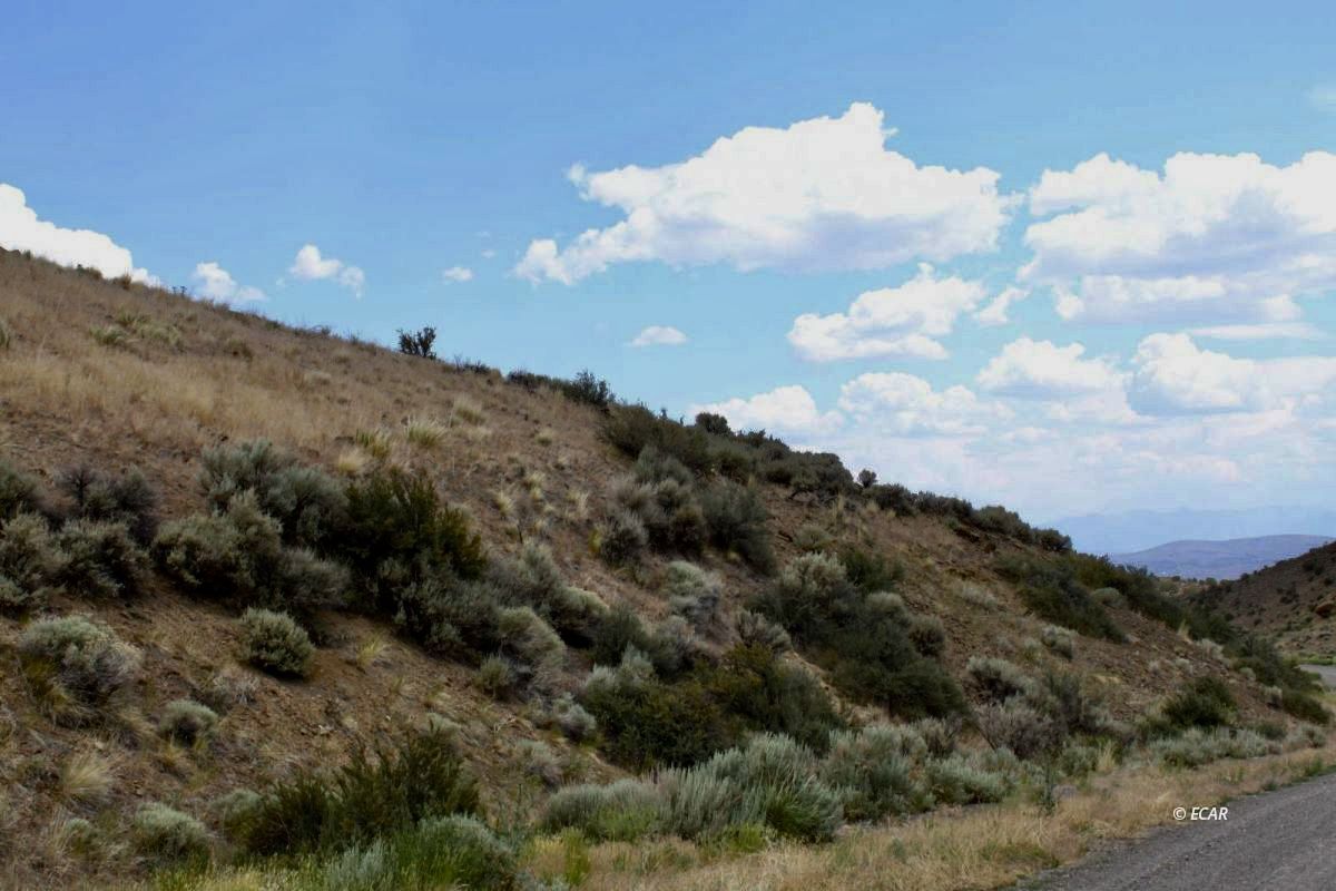 5th Street Property Photo 5